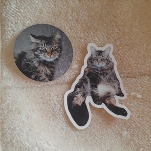 Cat Sticker Bundle
